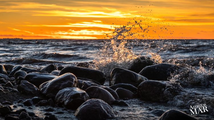 Cultura Oceânica por professor Alexander Turra – Instituto Oceanográfico da USP